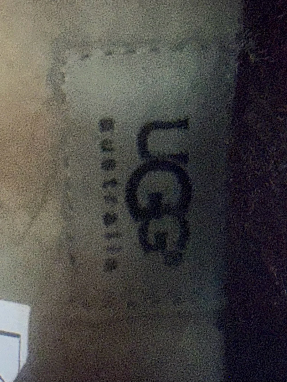 UGG branded boot